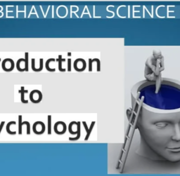 Psychology assessment help